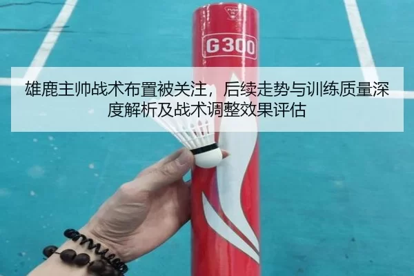 雄鹿主帅战术布置被关注，后续走势与训练质量深度解析及战术调整效果评估